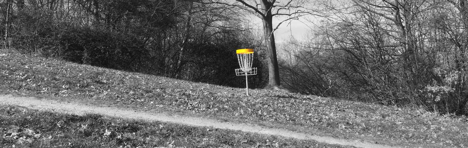 Afbeelding disc golf