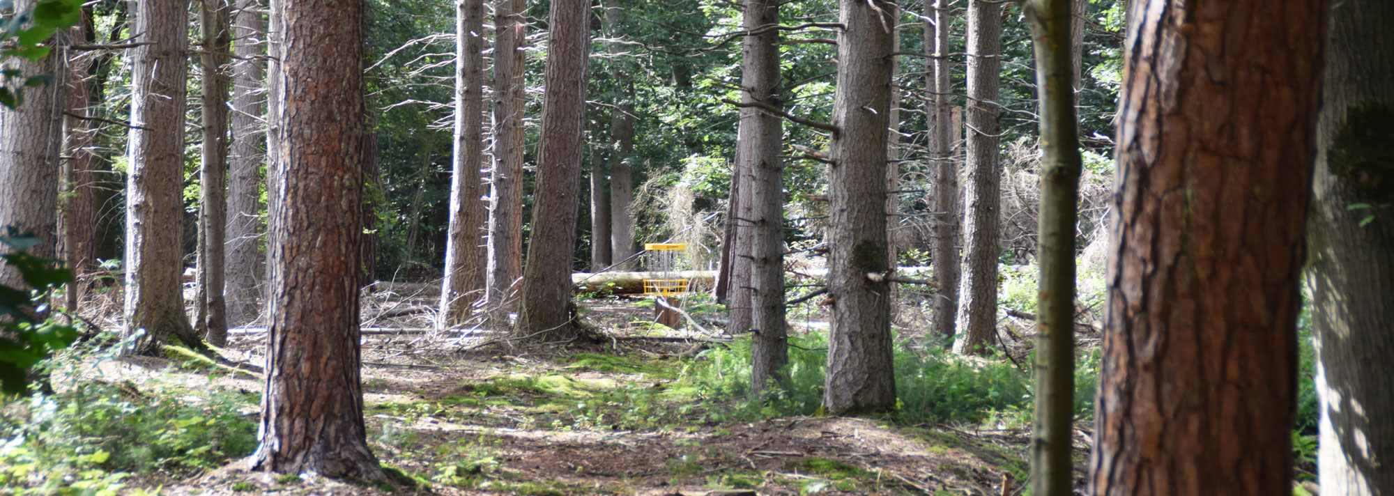 Disc Golf course Latitude64 foto tilburg