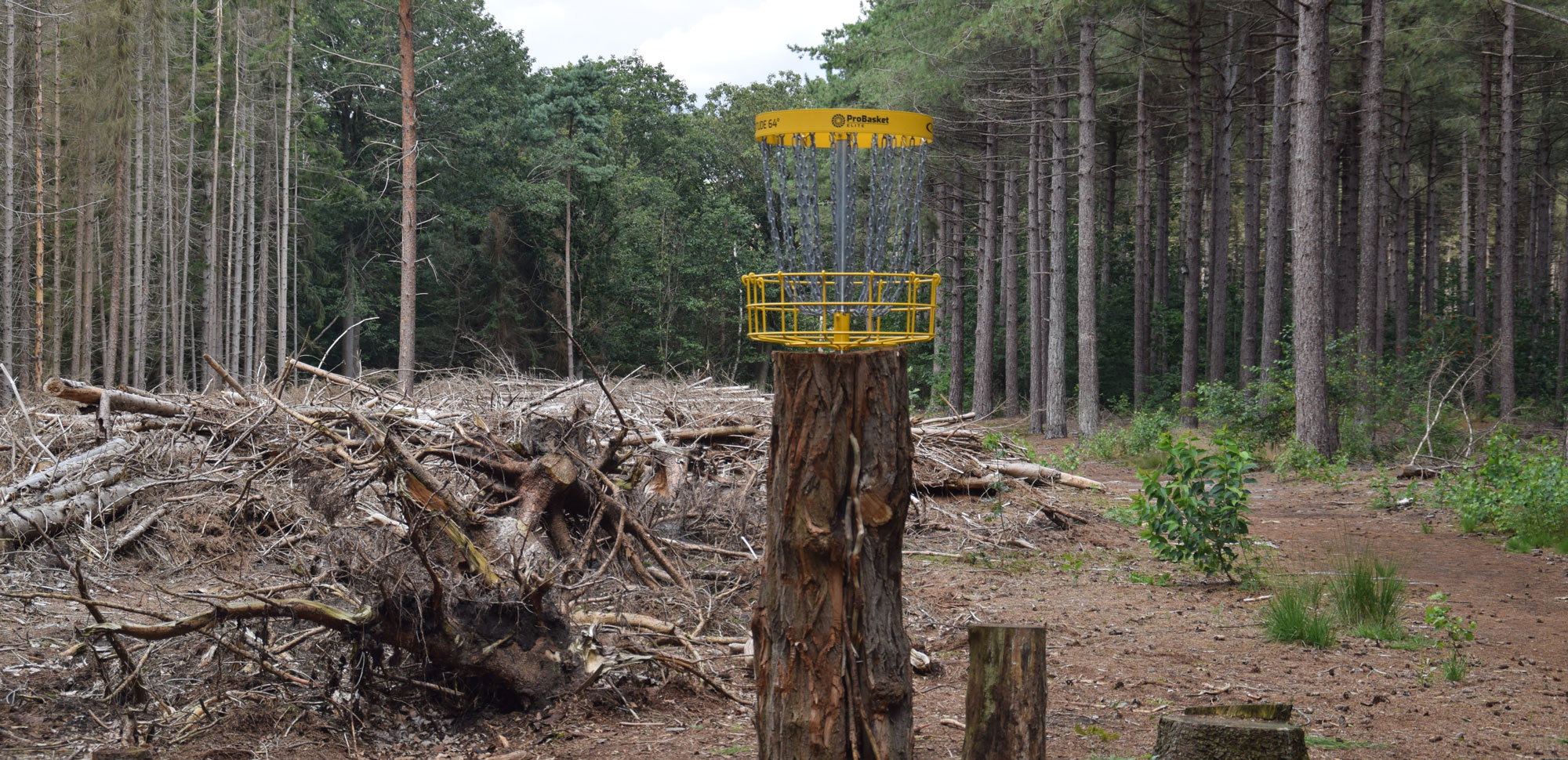 Disc Golf course foto 2 tilburg