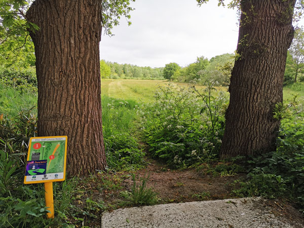Foto disc golf course Beilen
